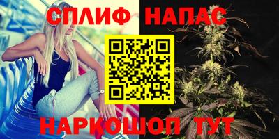 jwh Донецк