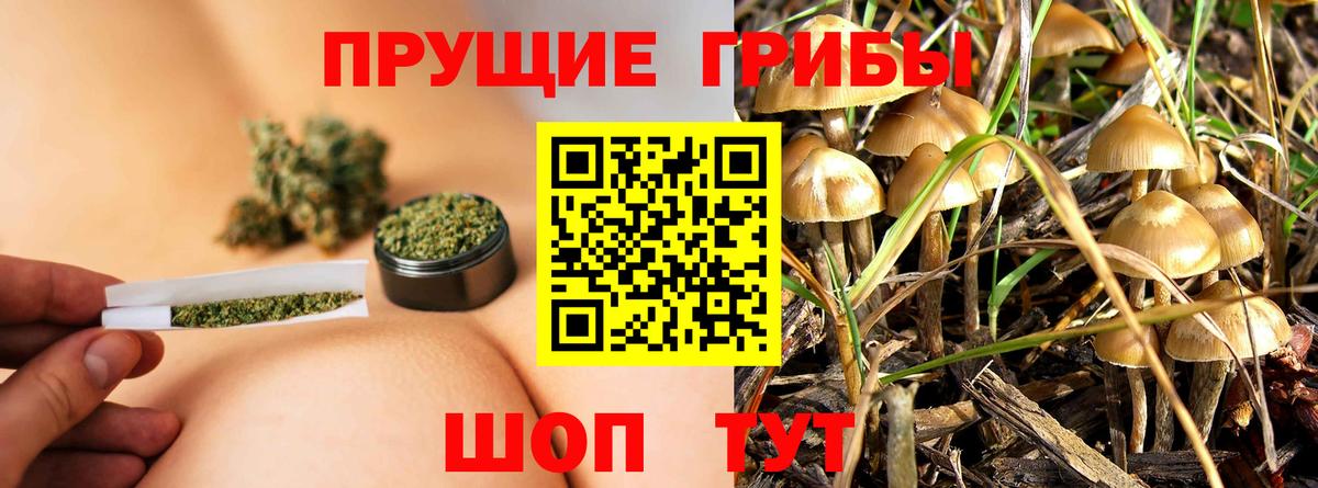 дарнет шоп  Вход с VPN  Лянтор  Псилоцибиновые грибы GOLDEN TEACHER 