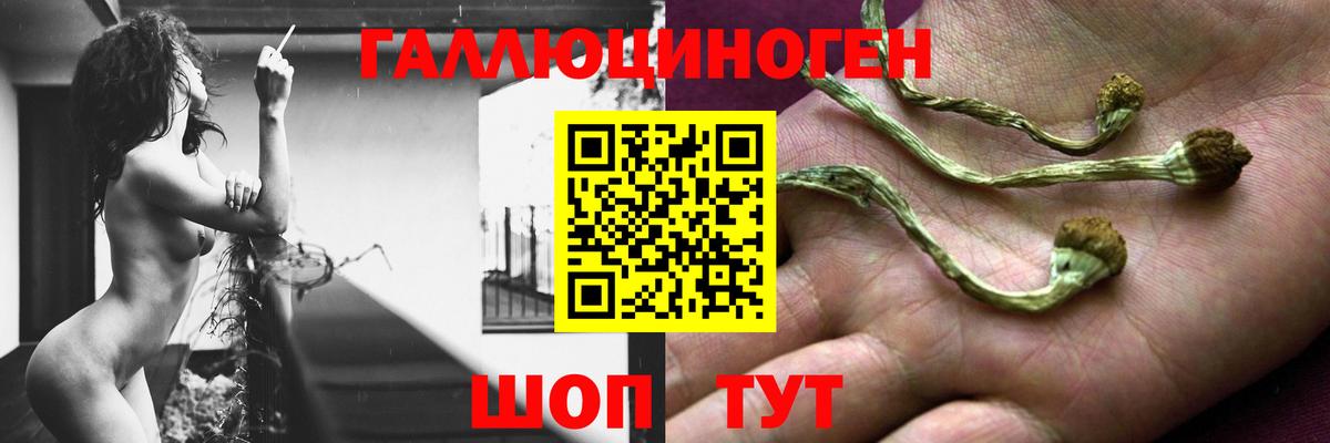 Лянтор  Вход с VPN  Конопля  Меф МЯУ МЯУ   ГАШ  Меф МЯУ МЯУ  Амфетамин кристаллы  ТГК 